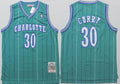 Men’s Charlotte Hornets #30 Dell Curry Green Hardwood Classics Soul Swingman Throwback Jersey