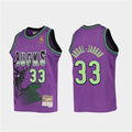 Mens Milwaukee Bucks #33 Kareem Abdul-Jabbar Mitchell & Ness Purple Reload Hardwood Classics Jersey