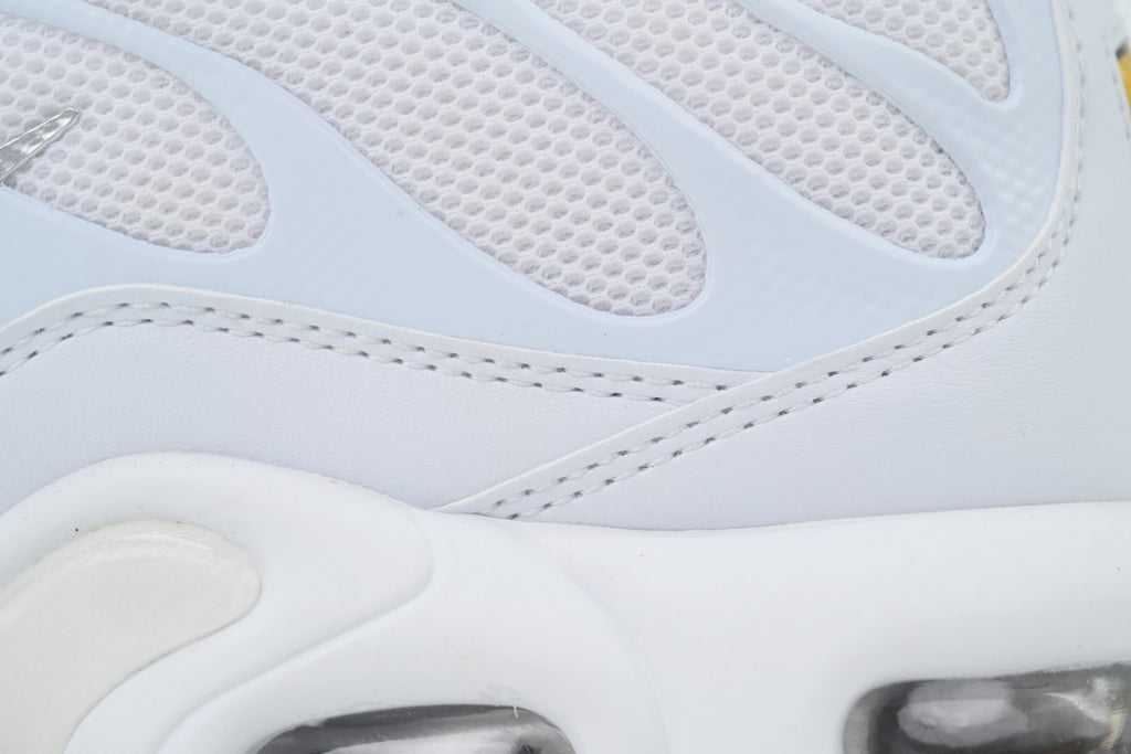 Nike Air Max Plus 'White' 604133-139