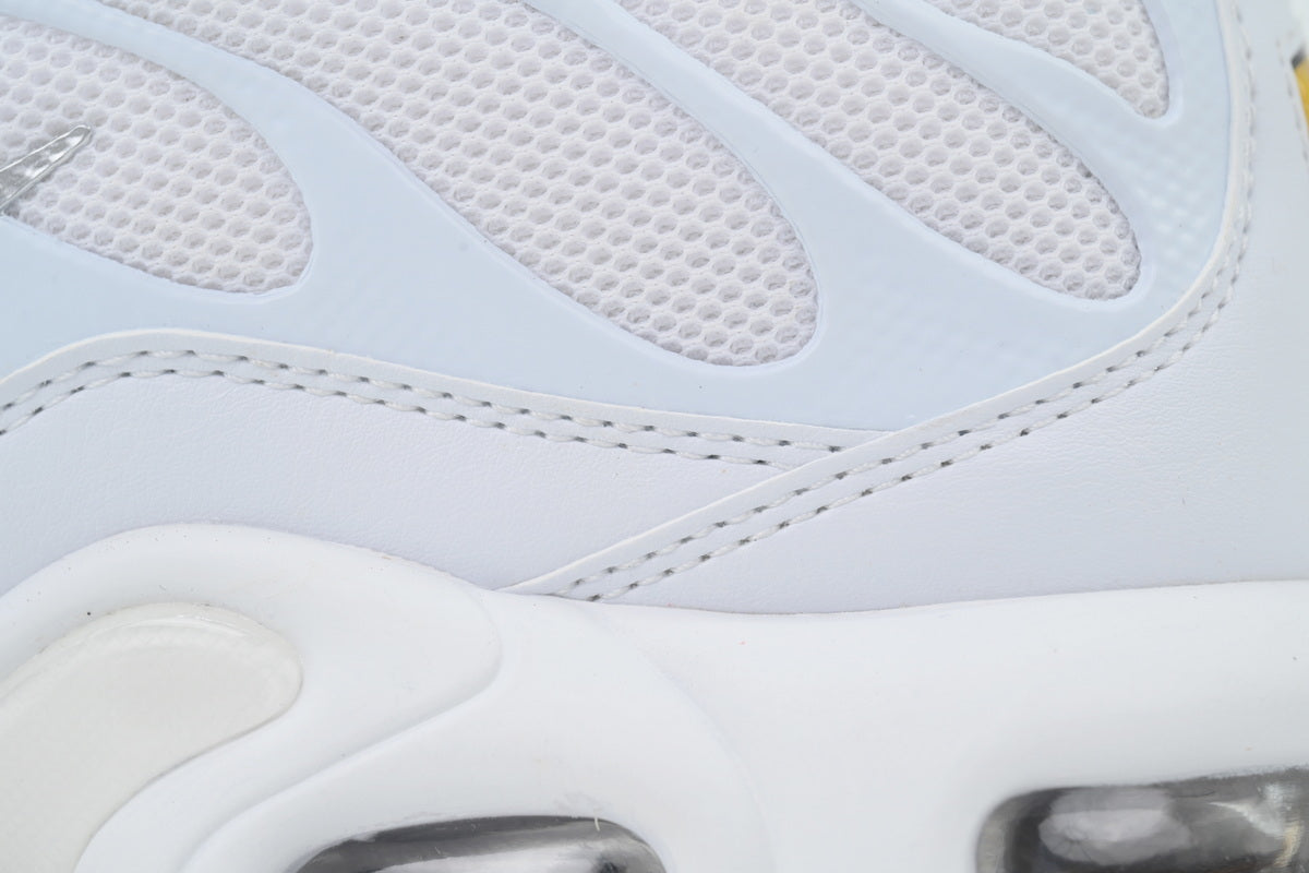 Nike Air Max Plus 'White' 604133-139